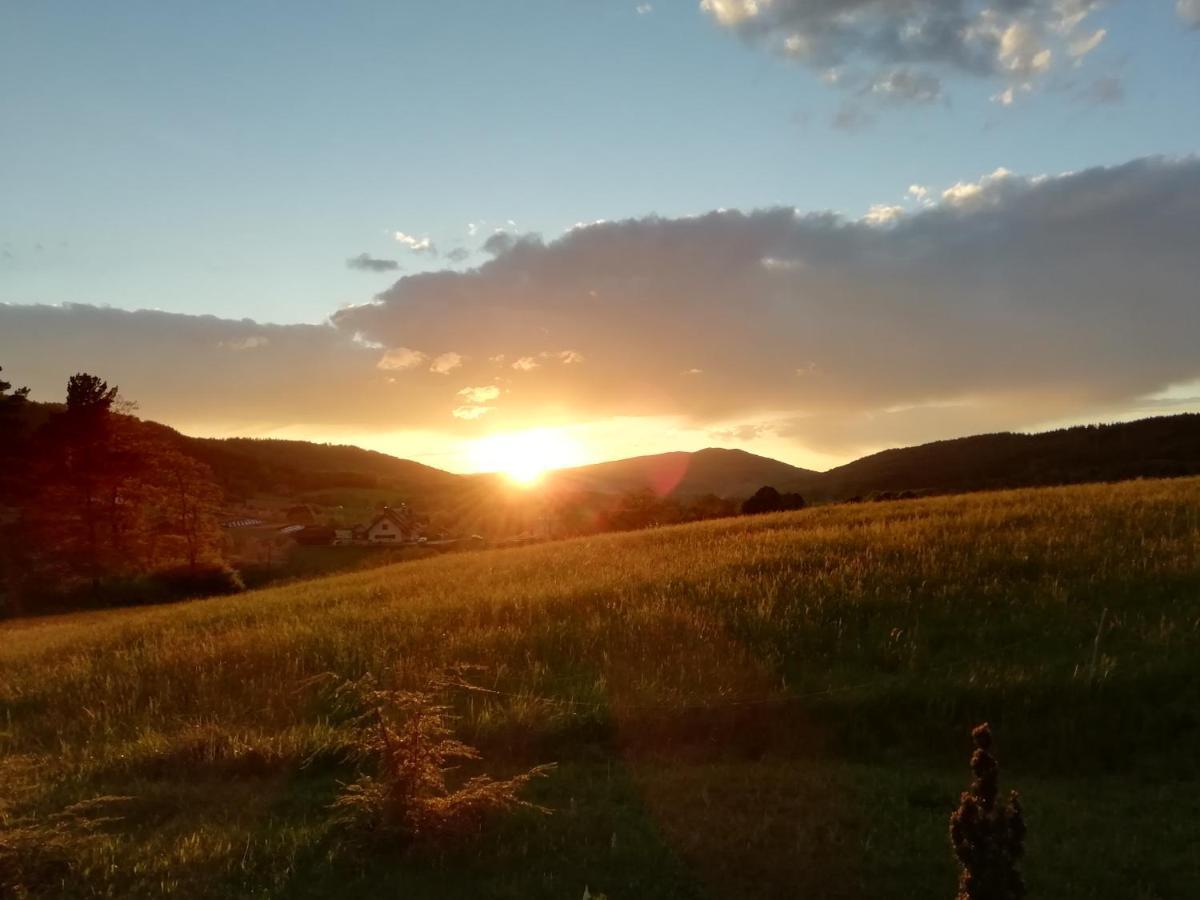 Gosciom Rada Ustrzyki Dolne