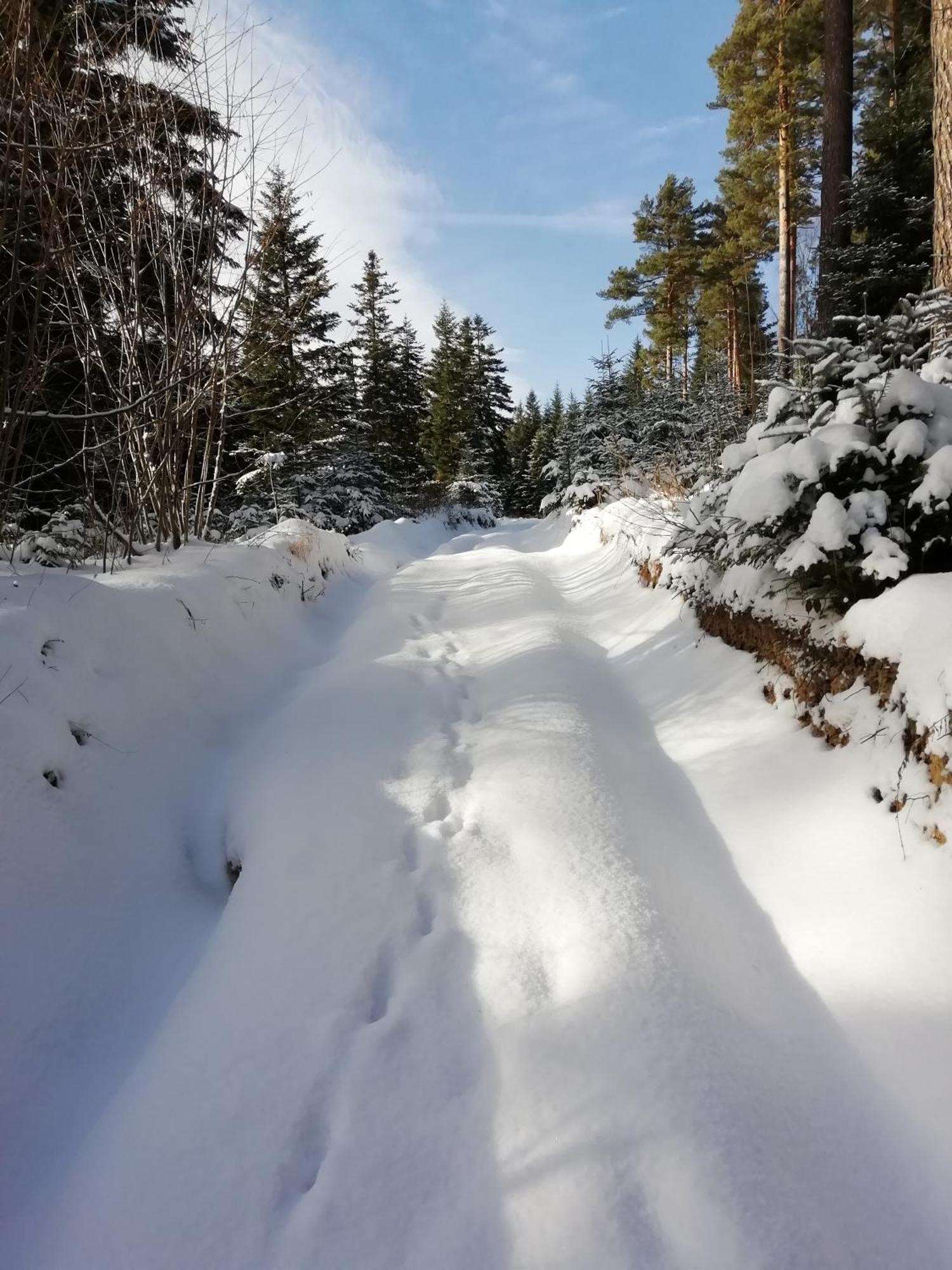 Gosciom Rada Ustrzyki Dolne